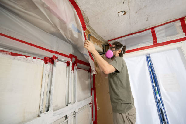 Best Forensic Mold Investigation  in Hamilton City, CA